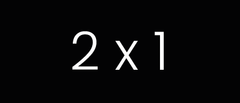 2×1